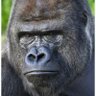 Juquan Lopez (UP/YOURS) profil fotoğrafı