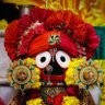 Profilbild von Raghav Kumar