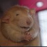 tim ! !'s profile picture