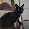 ひろき 的头像