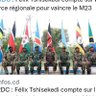 Patriote RDC's profile picture