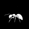 Profilbild von Jeff Mombrun๐๐๐