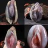 Фото профиля lichnguyen