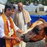 Trisha’s Cow 🐄 🐮's profile picture