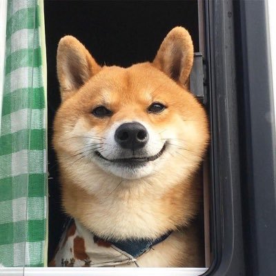 Leo's profile picture