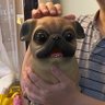 罗汗 的头像