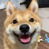 SophieTOPDAWG's profile picture