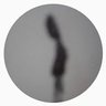 zaracathustra profil fotoğrafı