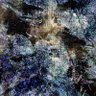 Blackoctopus 的头像