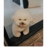 EldeVil's profile picture