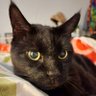 Profilbild von Circe