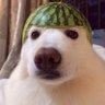 T—T AOM's profile picture