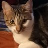 Nadège profil fotoğrafı