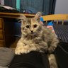 Kiki 的头像