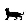 Profilbild von ゆらぎねこ