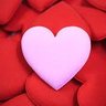 always love 的头像