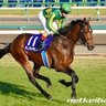 Фото профиля 夜はファンタジスタ