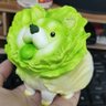 涩涩中毒 profil fotoğrafı