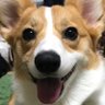 えるま's profile picture