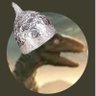 Profilbild von Jurassic Carl 🦖🐭