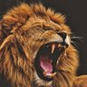 Leo_abk 🔴's profile picture