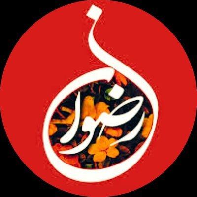 Rizwan_almakki's profile picture