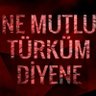 Vatan Kizilelma's profile picture