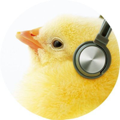 菅野よう子/Yoko Kanno Official's profile picture