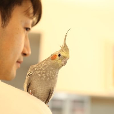 kazuya_EAT's profile picture