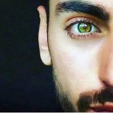 Zolfimotwade3's profile picture