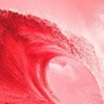 SaveAmericaFromTheDems's profile picture