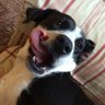 Colette Lageoles's profile picture