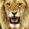 Nabeel@Alasady's profile picture