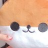 キャリーなのなの's profile picture
