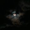 هتون's profile picture