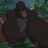 KERCHAK's profile picture
