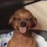 Profilbild von Black & Proud