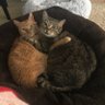 Sabe25 profil fotoğrafı