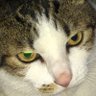 Profilbild von Macky