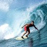Brad Utah 🏄♂️ 的头像