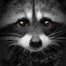 Profilbild von A. F.L.