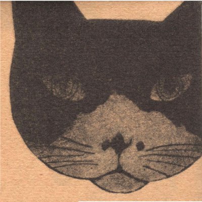 坂本千明's profile picture