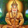 Profilbild von Vishal Mishra