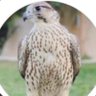 H's profile picture