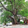 Фото профиля Abhishek yadav