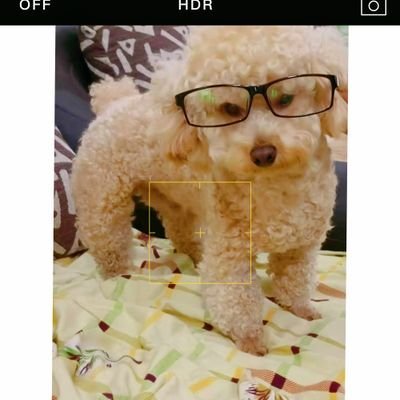 joker96782942's profile picture