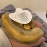 🐍 profil fotoğrafı