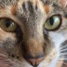 Jim profil fotoğrafı