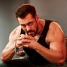 Sallu Bhaijaan's profile picture