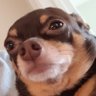 Profilbild von Tudewan